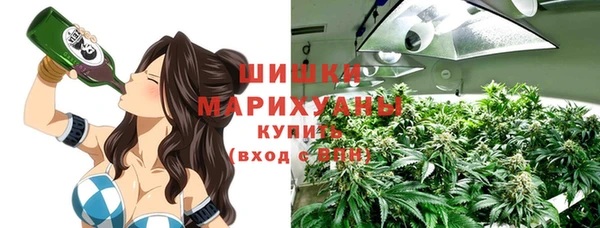 крисы Армянск