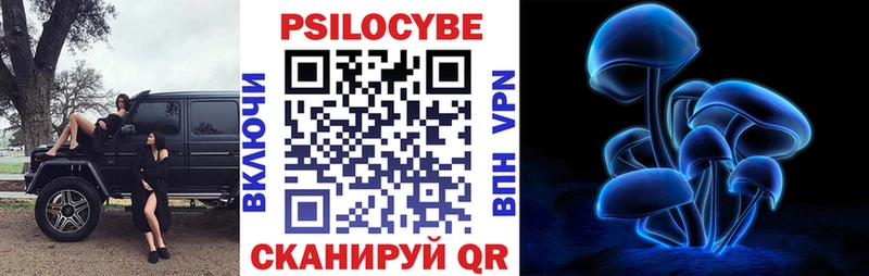 мега ссылки  Снежногорск  Псилоцибиновые грибы Cubensis 
